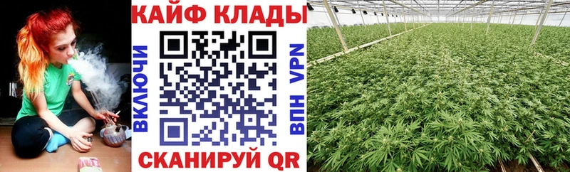 Купить наркоту Шуя Альфа ПВП LSD-25 Меф