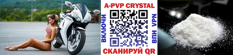 закладка  Шуя  Alfa_PVP СК 