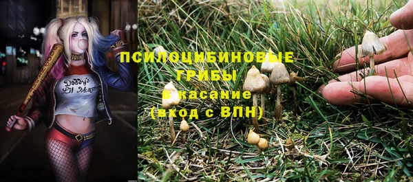 ECSTASY Армянск
