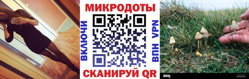 мега зеркало  Шуя  Галлюциногенные грибы прущие грибы 