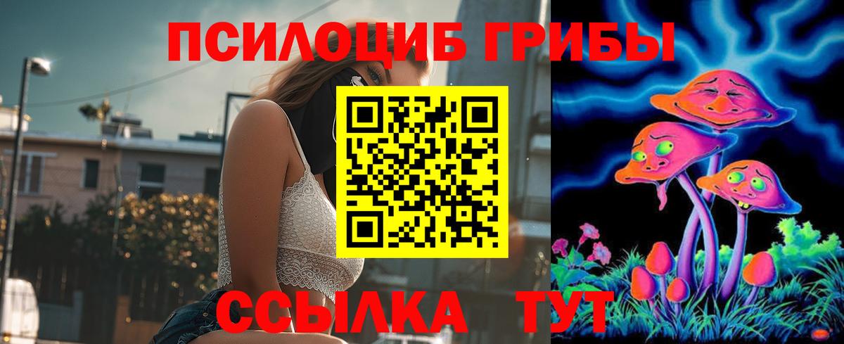 Шуя  Галлюциногенные грибы ЛСД  Псилоцибиновые грибы прущие грибы  Вход с VPN 